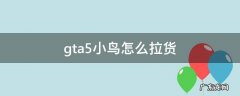 gta5小鸟怎么拉货 gta5用小鸟怎么拉货