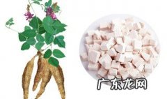 葛根功效与作用的功能 葛根功效与作用