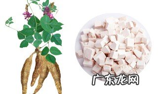 葛根功效与作用的功能 葛根功效与作用