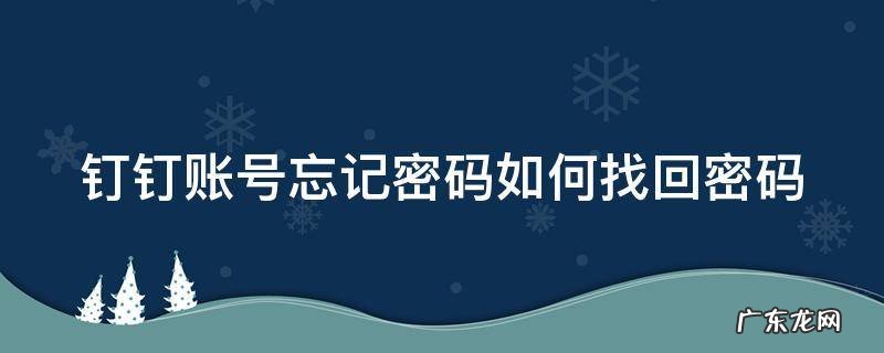 钉钉账号忘记密码如何找回密码呢 钉钉账号忘记密码如何找回密码