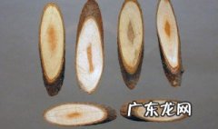 桂枝功效与作用 桂枝功效与作用的功能与主治与用量