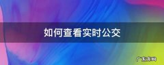如何查看实时公交在哪里 如何查看实时公交