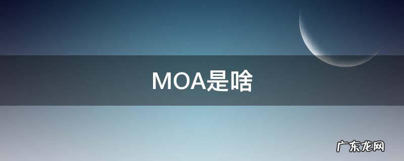 MOA是啥 MOA是啥牌子
