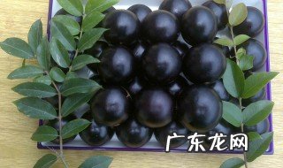 嘉宝果的功效与作用 嘉宝果的功效与作用禁忌和副作用