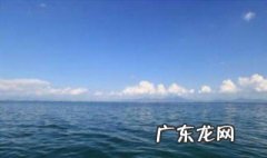 水调歌头翻译 水调歌头翻译及注释
