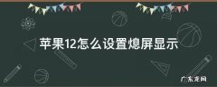 苹果11熄屏设置 苹果12怎么设置熄屏显示
