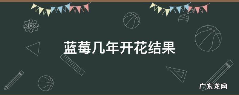 蓝莓几年开花结果 蓝莓要几年开花结果