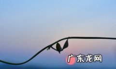简单昵称大全霸气 2020简单昵称大全