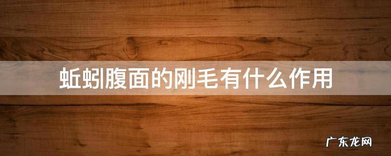 蚯蚓腹面的刚毛有什么作用 蚯蚓腹面的刚毛有什么作用?攻击作用固定作用