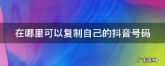 在哪里可以复制自己的抖音号码 抖音怎么复制抖音号