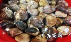 蛤蜊蒸蛋蛤蜊为什么不开