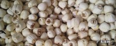 莲子外面的硬壳怎么去除 硬壳黑莲子怎么去壳