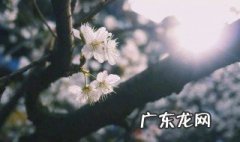 描写春风的诗句 描写春雨的诗句