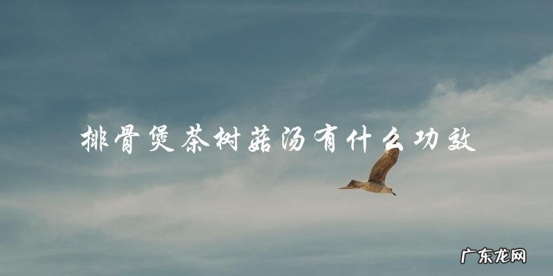 排骨煲茶树菇汤的功效大
