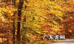 描写秋天的古诗三年级 描写秋天的古诗