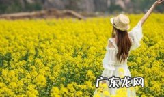 描写春天的比喻句 描写春天的比喻句都有哪些