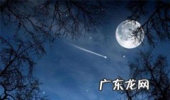 比喻爱情长久的诗句 千里共婵娟是指爱情吗