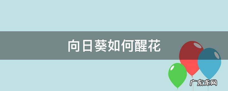 向日葵如何醒花 网购向日葵如何醒花