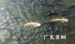 湖南的湖是指哪个湖泊 湖南的湖是指哪个湖