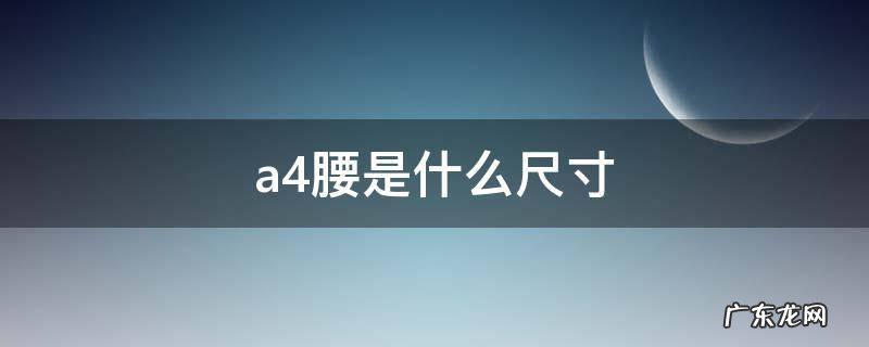 a4腰是什么尺寸 A4腰是多宽