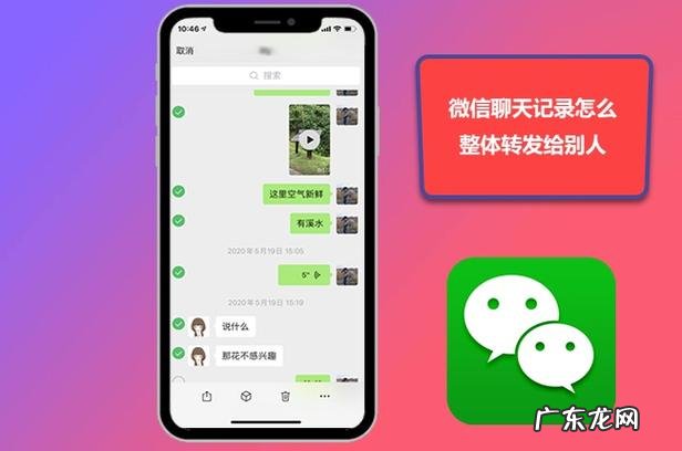微信收款语音开哪里设置？微信怎么开语音？