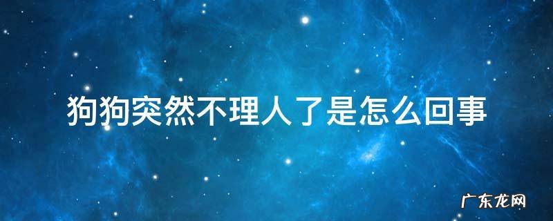 狗狗突然不理人了是怎么回事 小狗不理人是怎么回事