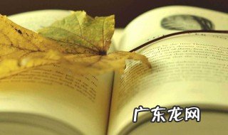 世说新语读后感 世说新语读后感600字
