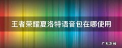 王者荣耀夏洛特语音包在哪使用 王者荣耀夏洛特语音包如何使用?