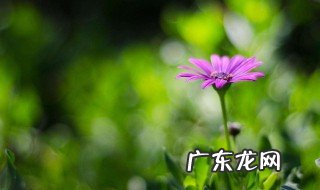 描写春天的好句好段 描写春天的好句好段20~30字左右