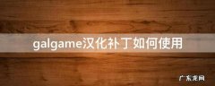 galgame汉化补丁如何使用 gal汉化补丁怎么用