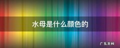 水母是什么颜色的? 水母是什么颜色的