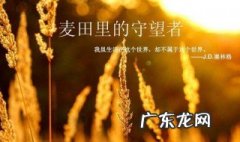麦田里的守望者读后感 麦田里的守望者读后感800字大学