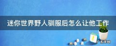 迷你世界野人驯服后怎么让他工作最新 迷你世界野人驯服后怎么让他工作