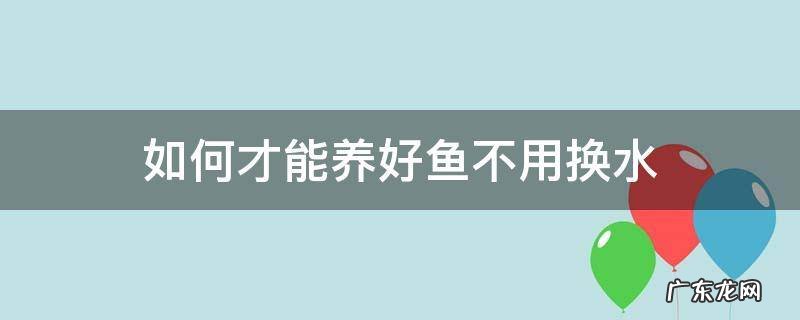 养的鱼怎么换水 如何才能养好鱼不用换水