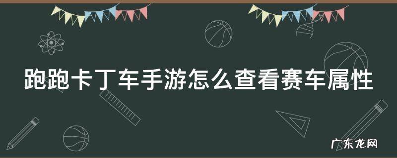 跑跑卡丁车手游怎么查看赛车属性 跑跑卡丁车手游怎么查看赛车属性