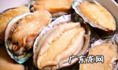 小鲍鱼的营养价值及功效与作用 小鲍鱼的功效作用