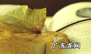 木心经典语录100条 木心经典语录