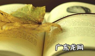 百年孤独最扎心的一句话 百年孤独经典一句话