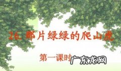 那片绿绿的爬山虎主要内容写了什么 那片绿绿的爬山虎主要内容