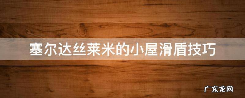 塞尔达丝莱米的小屋滑盾技巧 塞尔达怎么滑盾教程