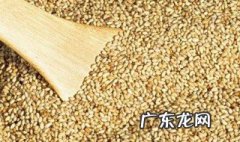什么食物补体寒效果好 什么食物补体寒