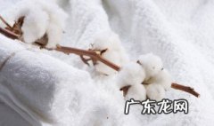 有弹性的布料 纯棉的衣服有弹性吗?