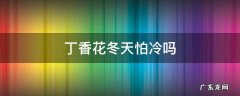 丁香花冬天怕冷吗 丁香花耐寒吗?
