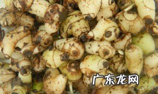 白芨种子种植方法是什么 白芨种子种植方法是什么样的