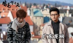 鸡毛飞上天演员表 鸡毛飞上天演员表图片