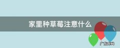家里种草莓注意什么 在家种草莓要注意什么