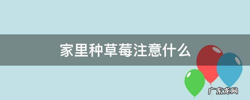 家里种草莓注意什么 在家种草莓要注意什么