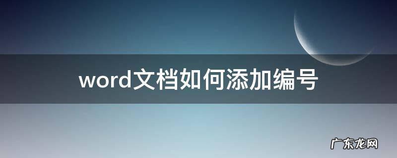 word文档如何添加编号(1 word文档如何添加编号