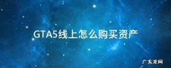 gta5线上可以购买的资产 GTA5线上怎么购买资产