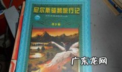尼尔斯骑鹅旅行记作者简介50字 尼尔斯骑鹅旅行记作者